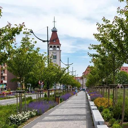 Bursztynowy Władysławowo